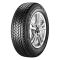 205/55R17 95H XL WinterPro 2 TL